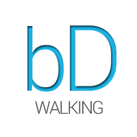 Bondringo Logo